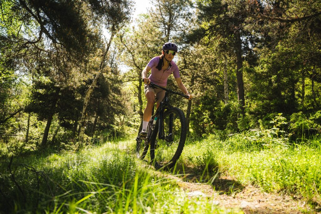 BTT a Tavascan