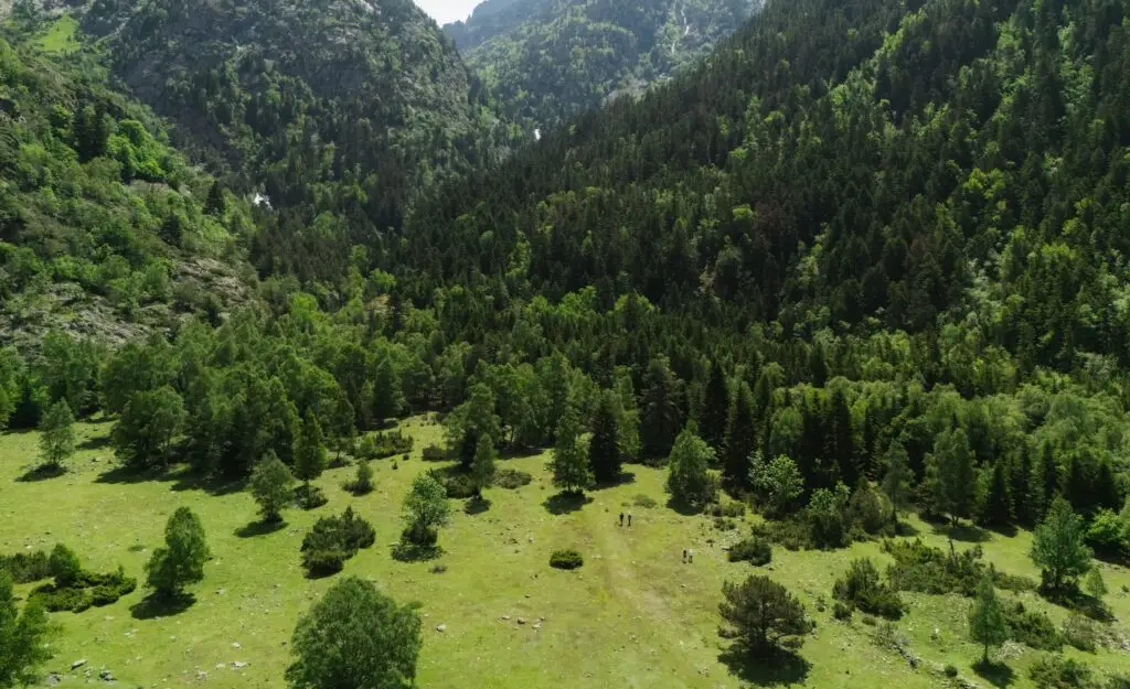 Pla de Boavi, Alt Pirineu